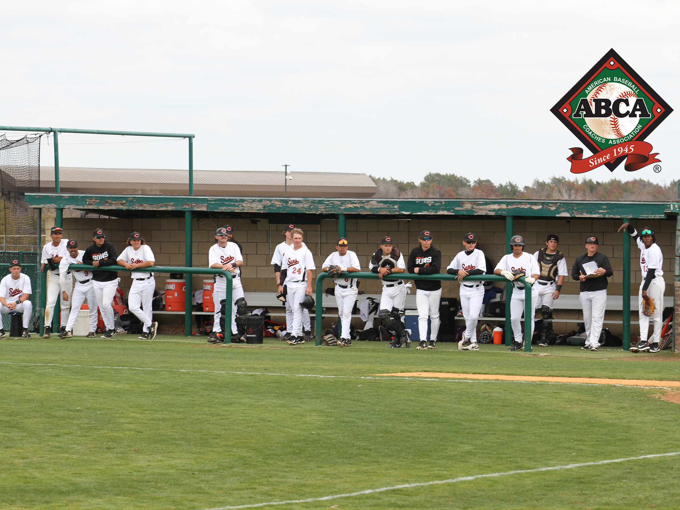 Baseball Receives ABCA Academic Excellence Award