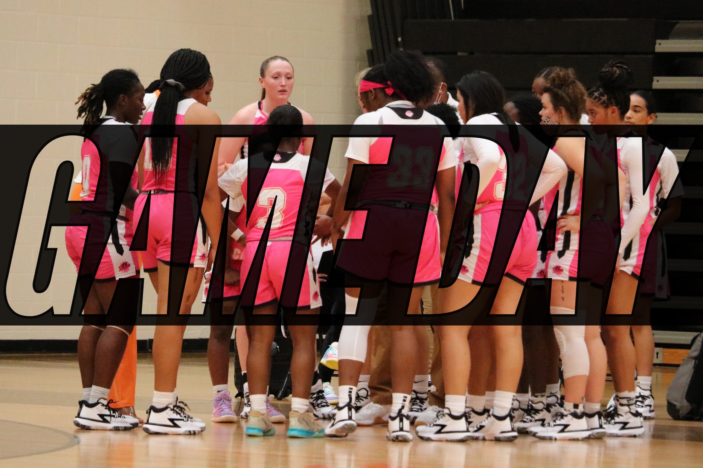 WBB Host Collin County Community College