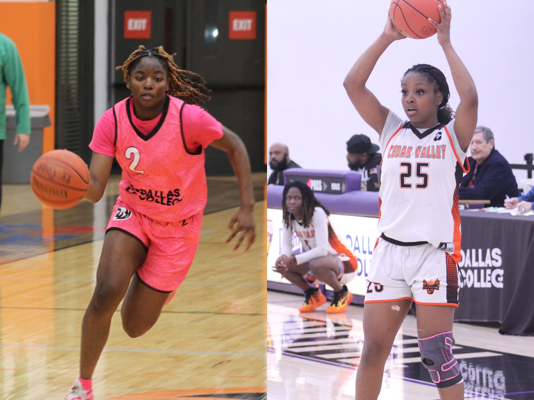 Williams, McDonald Headline Suns' All-DAC Honors