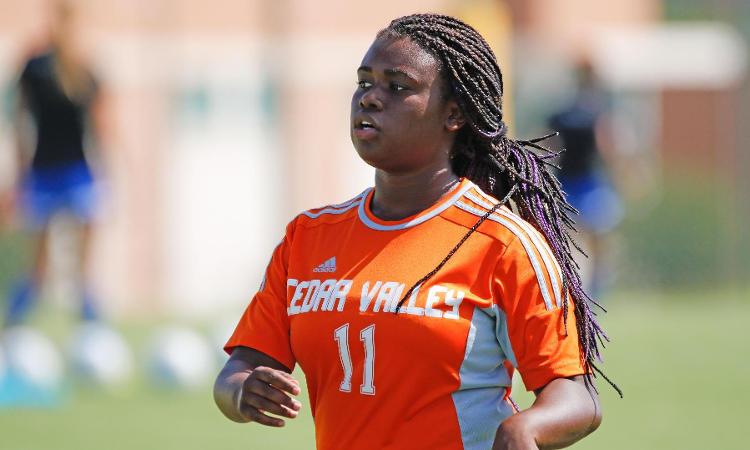 Women's Soccer Bested by North Lake