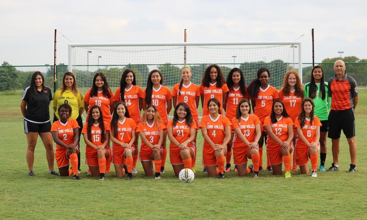 Lady Suns Rally Denied by Mountain View, 3-0.