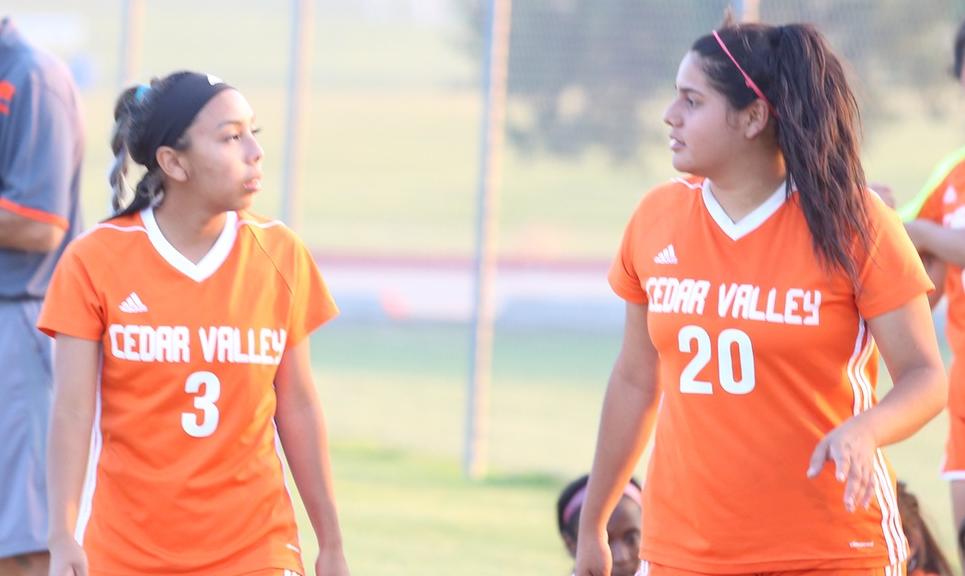 Lady Suns Shutout by North Lake, 3-0
