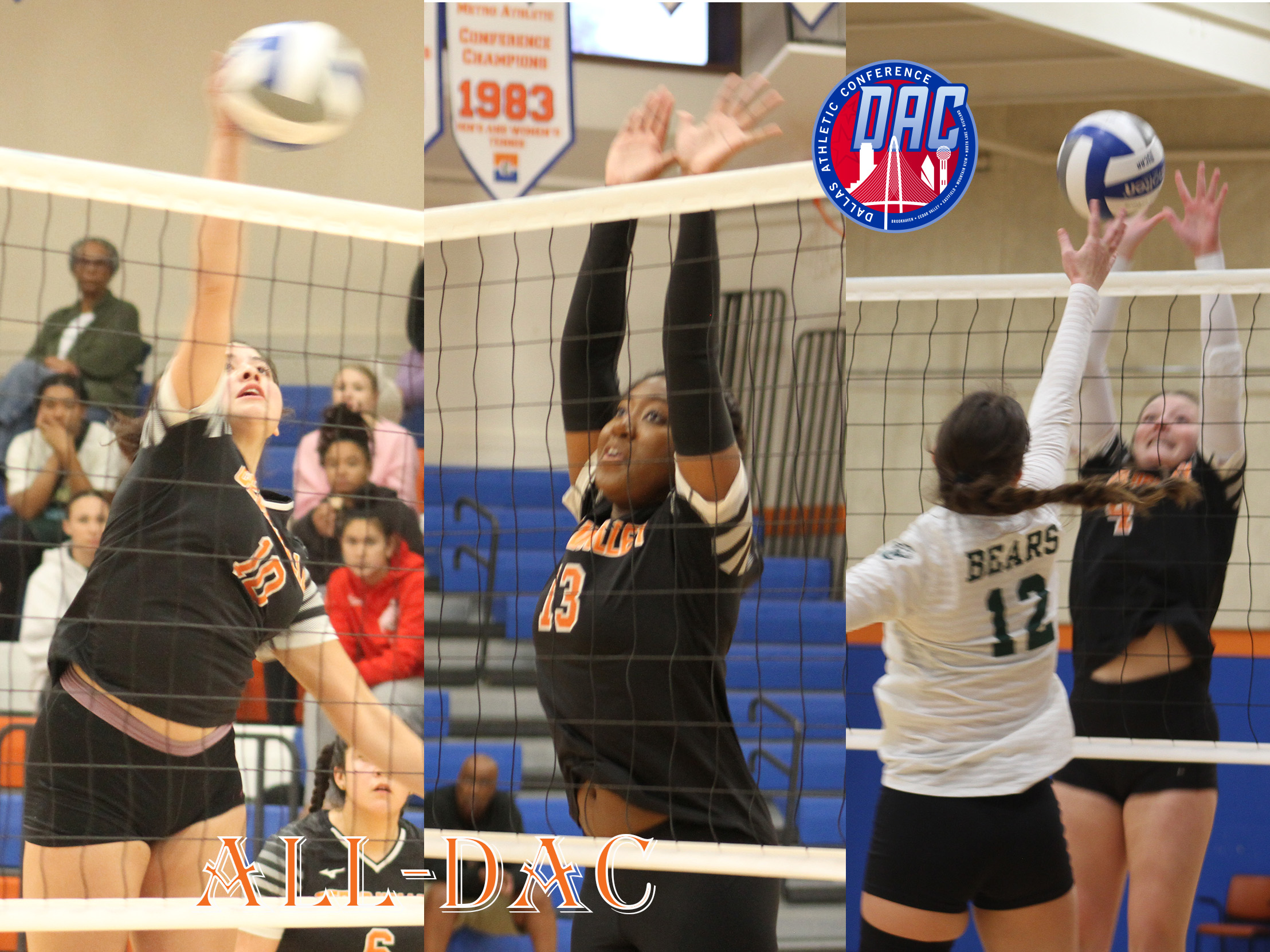 Suns Volleyball Represented by Trio on All-DAC Teams